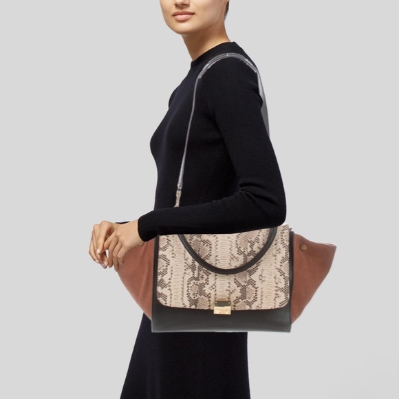 🛍TRADED!!🛍Céline RARE Python Mixed Media Trapeze - Picture 2 of 7
